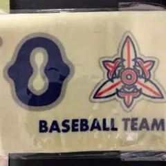 2026年最新】東洋大姫路 タオルの人気アイテム - メルカリ