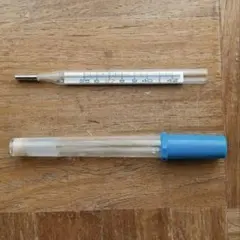 2026年最新】水銀体温計の人気アイテム - メルカリ