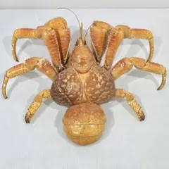 2026年最新】ヤシガニ剥製の人気アイテム - メルカリ