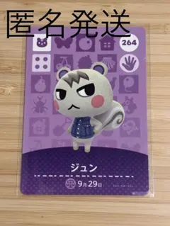 2026年最新】あつ森amiiboジュンの人気アイテム - メルカリ