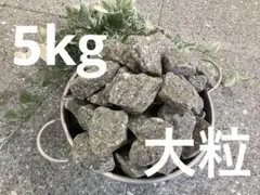 2026年最新】遠野の銘石の人気アイテム - メルカリ