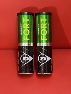 2026年最新】DUNLOP(ダンロップ) フォート 2球缶の人気アイテム - メルカリ