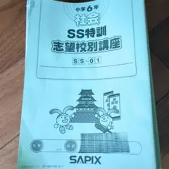 2026年最新】ss特訓 社会の人気アイテム - メルカリ