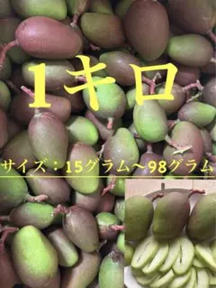 2026年最新】摘果マンゴーの人気アイテム - メルカリ