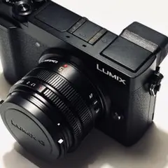 2026年最新】GX7MK3の人気アイテム - メルカリ