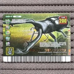 2026年最新】ムシキングフォレストグリーンの人気アイテム - メルカリ