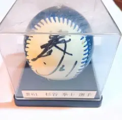 2026年最新】杉谷 サインボールの人気アイテム - メルカリ