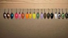 2026年最新】ロールスイマーの人気アイテム - メルカリ