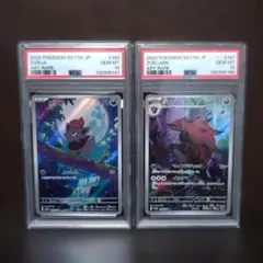 2026年最新】ゾロア ar psa10の人気アイテム - メルカリ