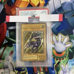 2026年最新】王家の守護者の人気アイテム - メルカリ