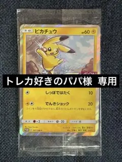 2026年最新】ピカチュウ プロモ イオンの人気アイテム - メルカリ