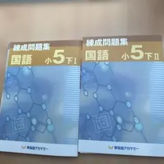 2026年最新】早稲アカ 錬成 小5の人気アイテム - メルカリ