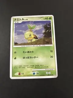 2026年最新】ナエトル ポケカの人気アイテム - メルカリ