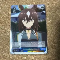 2026年最新】ヴァイスsrの人気アイテム - メルカリ