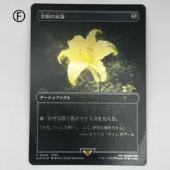 2026年最新】金粉の水蓮の人気アイテム - メルカリ