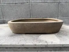 2026年最新】盆栽鉢 中国の人気アイテム - メルカリ