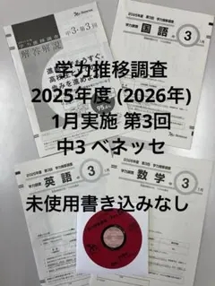 2026年最新】学力推移調査 中3 第3回の人気アイテム - メルカリ