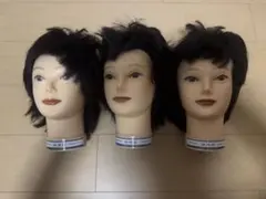 2026年最新】国家試験カットウィッグの人気アイテム - メルカリ