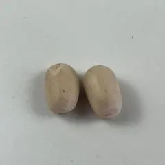 2026年最新】ホリダス 種の人気アイテム - メルカリ