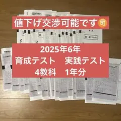 2026年最新】日能研 育成テスト 4年の人気アイテム - メルカリ