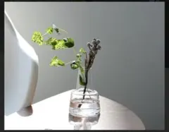 2026年最新】ホルムガードの人気アイテム - メルカリ