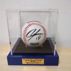 2026年最新】康晃 サインボールの人気アイテム - メルカリ