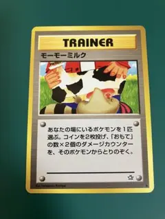 m61301227349_1.jpg?1772337783