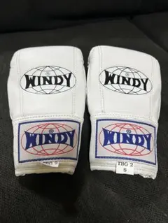 2026年最新】windy グローブ 8オンスの人気アイテム - メルカリ