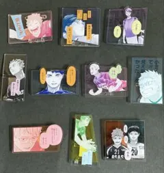 2026年最新】ハイキュー アクリルバッジコレクション 未開封の人気