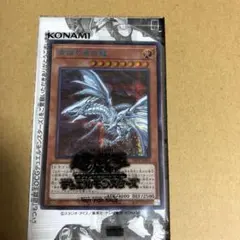 2026年最新】青眼の亜白龍 ブルーシークレットの人気アイテム - メルカリ