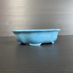 2026年最新】鉢 祥石の人気アイテム - メルカリ