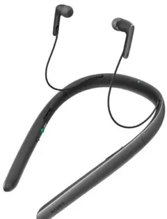 2026年最新】sony 集音器 smr-10の人気アイテム - メルカリ