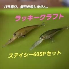 2026年最新】ラッキークラフト ステイシーの人気アイテム - メルカリ