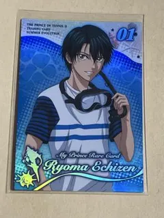 2026年最新】新テニスの王子様トレーディングカード Summer Evolution