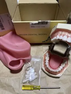 2026年最新】ニッシンデンタルモデルの人気アイテム - メルカリ