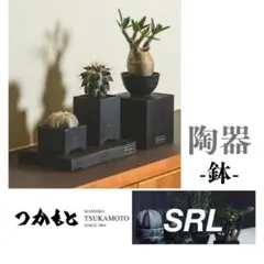 2026年最新】srl neighborhood 鉢の人気アイテム - メルカリ