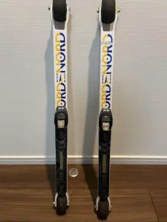 2026年最新】クロスカントリースキー ローラーの人気アイテム - メルカリ