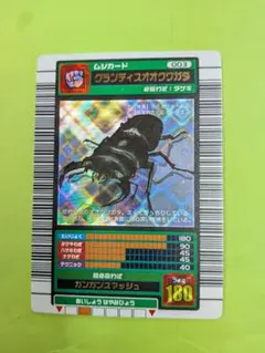 2026年最新】グランディスオオクワガタの人気アイテム - メルカリ