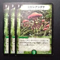 2026年最新】シビレアシダケ 初期の人気アイテム - メルカリ