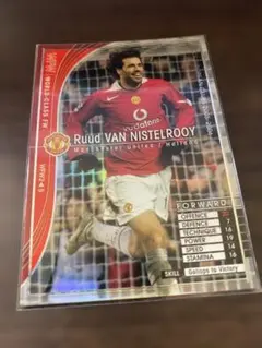 2026年最新】ニステルローイの人気アイテム - メルカリ