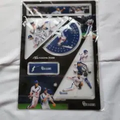 2026年最新】ドラゴンズ 実使用の人気アイテム - メルカリ