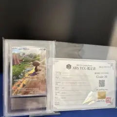 2026年最新】ウパー ar psa10の人気アイテム - メルカリ