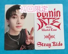 2025年最新】dominate バンチャンの人気アイテム - メルカリ