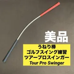 2026年最新】ツアープロスインガーの人気アイテム - メルカリ