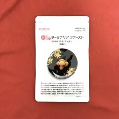 2026年最新】ターミナリア ファーストの人気アイテム - メルカリ