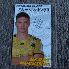 2026年最新】サンゴリアス 選手カードの人気アイテム - メルカリ