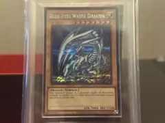 2026年最新】青眼 ddsの人気アイテム - メルカリ