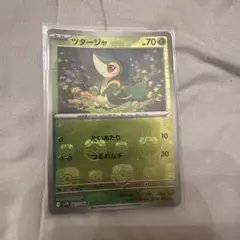 2026年最新】ツタージャ マスターボールミラーの人気アイテム - メルカリ