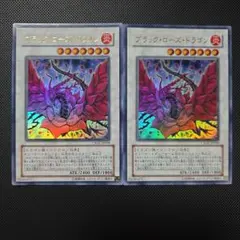 2026年最新】ブラックローズドラゴンの人気アイテム - メルカリ