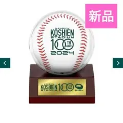 2026年最新】甲子園100周年 ボールの人気アイテム - メルカリ